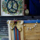 #lott2019-3047.jpg