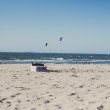 Theo-Jansen-Strandbeests_2016-08-12-7884.jpg