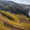 02-Burgberg-7597-.jpg