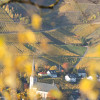 04-Kröv-im-Herbst-2568-.jpg