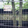 Lott_2016_suse_schug-5707.jpg