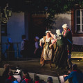 Operette_2017-9002.jpg