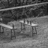fallig13-4879.jpg