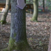 lott15-5604.jpg
