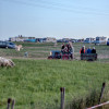 schug-8525.jpg