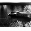 02x-Lustig-auf-der-Mosel-.jpg