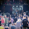 Lott_2016_suse_schug-5646.jpg