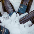 #srs2018_auftakt-0035.jpg