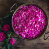 marias-rosen-7678.jpg