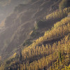 01-Calmont-im-Herbst-6830-.jpg