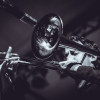BrachtBand+Wogram+Decker_Brunnenhof2017-0501.jpg