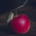 Apfel-Still-4107.jpeg