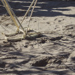 Theo-Jansen-Strandbeests_2016-08-12-7614.jpg