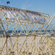 Theo-Jansen-Strandbeests_2016-08-12-7712.jpg