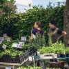 vulkanmarkt-strohn-2014-7532.jpg