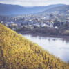 02-Halb-Wehlen-im-Herbst-.jpg