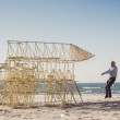 Theo-Jansen-Strandbeests_2016-08-12-7910.jpg