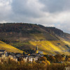 01-Zeltingen-Panorama-Herbst-.jpg