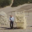 Theo-Jansen-Strandbeests_2016-08-12-7804.jpg
