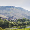 01-Zeltingen-Panorama-Fruehling-.jpg