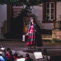 Operette_2017-9314.jpg