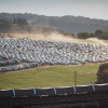 lott15-5826.jpg