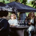 #srs2018-1101.jpg