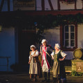Operette_2017-9007.jpg