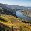 02-Burgbergblick-7467-.jpg
