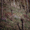 03-Fruehling-im-Weinberg-Puenderich-.jpg