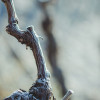 04-Frost-im-Treppchen-3255.jpg