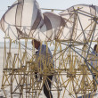 Theo-Jansen-Strandbeests_2016-08-12-7612.jpg
