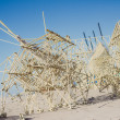 Theo-Jansen-Strandbeests_2016-08-12-7886.jpg