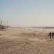 Theo-Jansen-Strandbeests_2016-08-12-7978.jpg