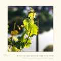 kalender_05_2027-.jpg