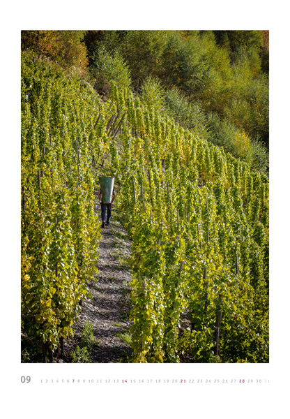 kalender gross web 09 2014