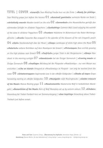 kalender gross web 13 beschreibung 2014